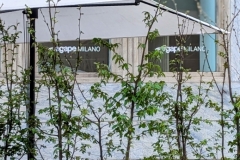 Agape-Salone.Milano.2025_ST02