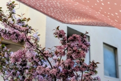 FIM.Umbrellas-Salone.Milano.2025_ST09