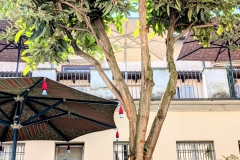 FIM.Umbrellas-Salone.Milano.2025_ST22