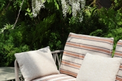 MDW26_Molteni_06