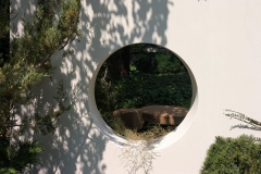 MDW26_Molteni_19